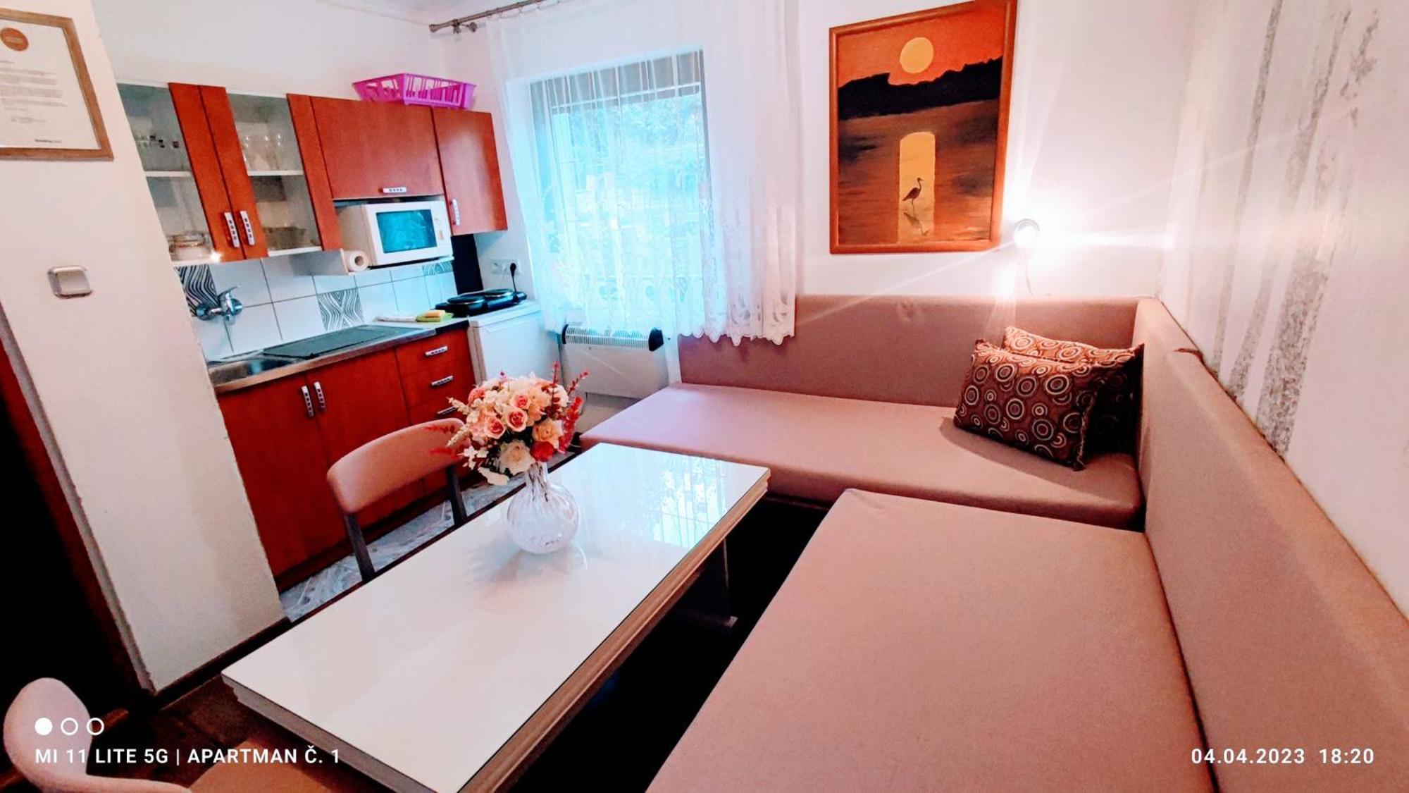 Penzion Pohoda - Apartmany Jesenik Ngoại thất bức ảnh